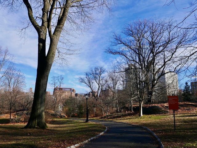 New York's Palette