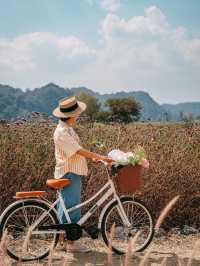 Audrey Hobby Farm @Myeson Valley-Khaoyai