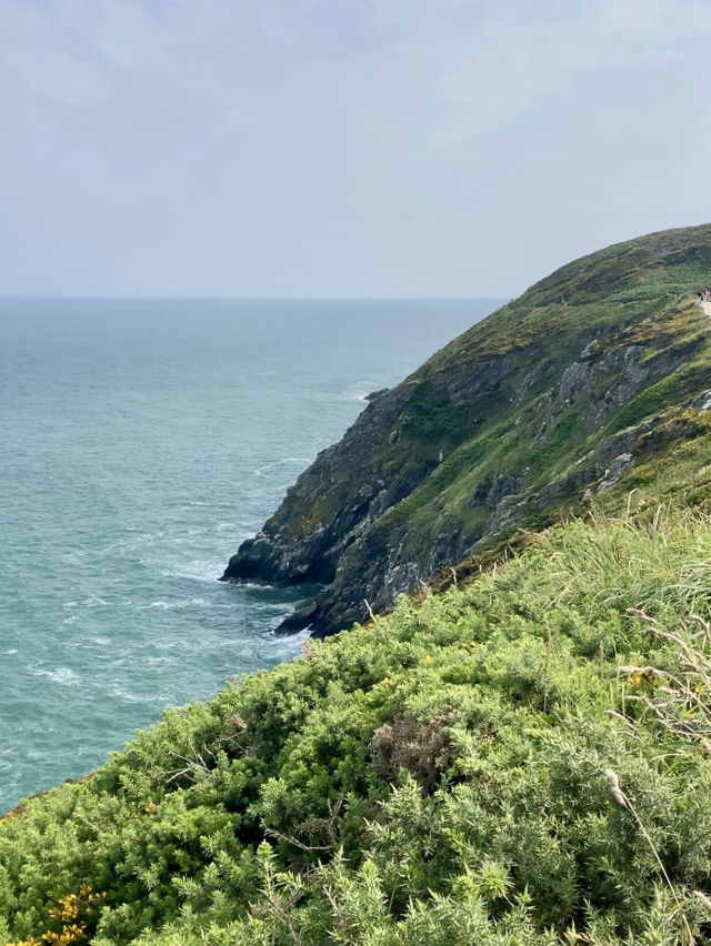 Howth Cliff Walk 🌸🌿🌊