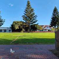 Port Lincoln spring