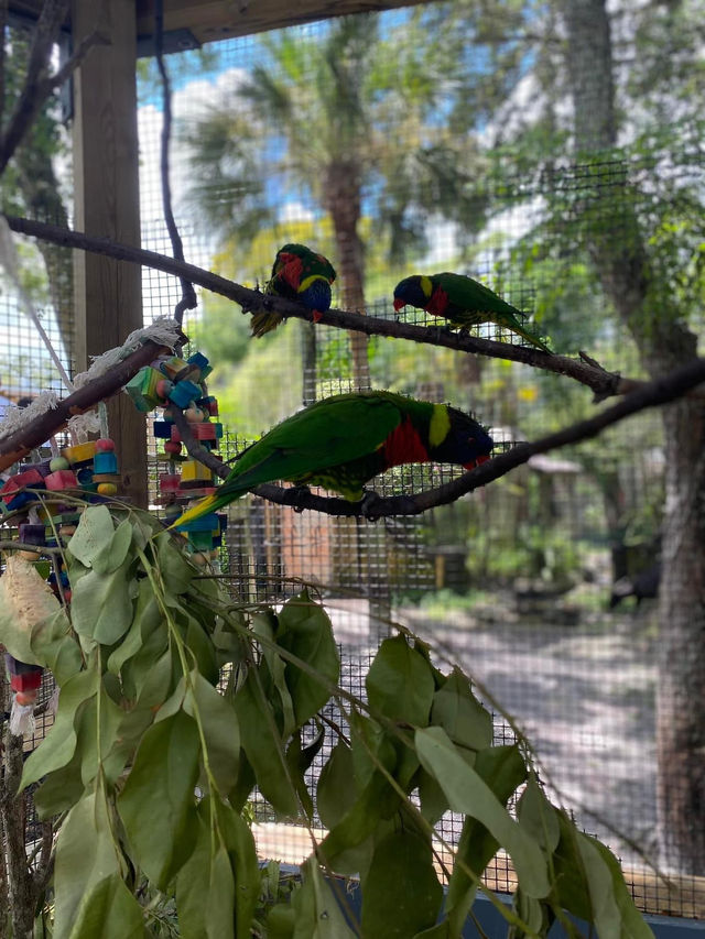 ZooTampa at Lowry Park 🇺🇸 ZooTampa at Lowry Park 🇺🇸