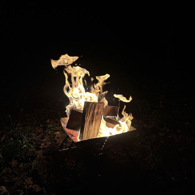Camping in Hampshire 🏕️