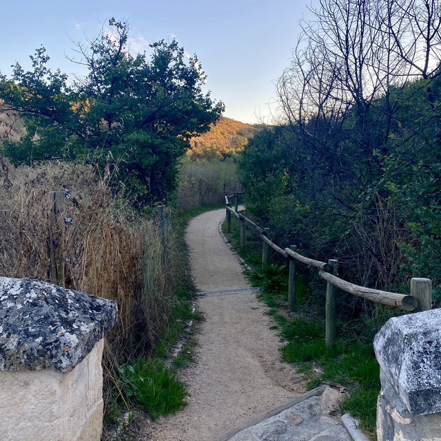 Picture-Perfect Stroll