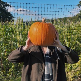 Pumpkin Patch Perfection: Halloween at Tulleys Farm
