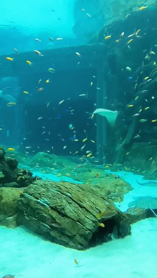 SeaWorld Pt.1