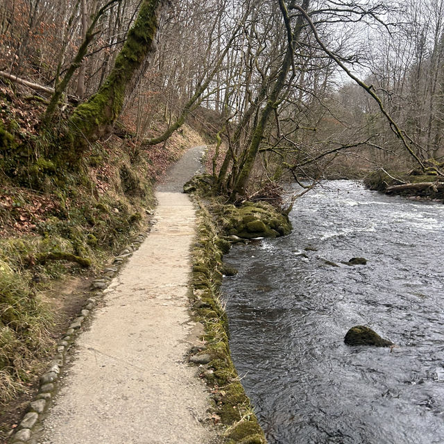 The perfect winter walk 