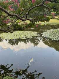 Tokyo Imperial Palace East Gardens: A Timeless Oasis in the Heart of Modernity