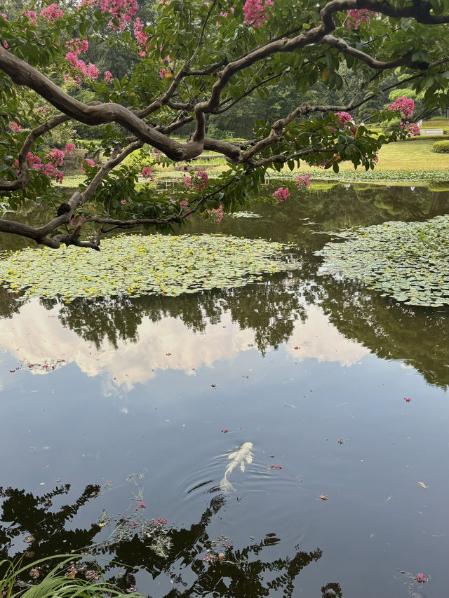 Tokyo Imperial Palace East Gardens: A Timeless Oasis in the Heart of Modernity