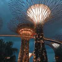 Singapore from the Top: The Beauty of Supertree Observatory