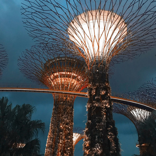 Singapore from the Top: The Beauty of Supertree Observatory