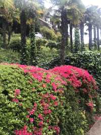 South Island Garden in Korea