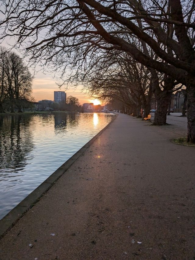 Morning walk 🌞
