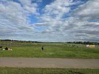 A Perfect Summer Day at Birmingham Airport Viewing Area – A Hidden Gem in Sheldon Country Park