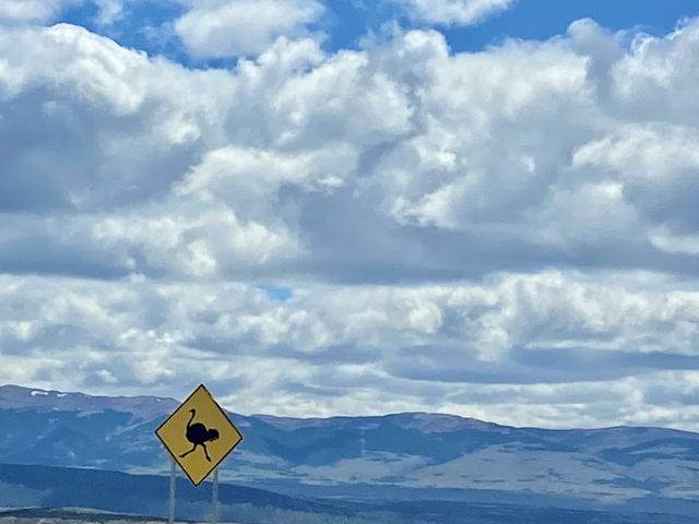 Viewpoint Hopping & Lakes