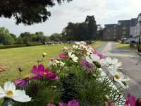 Cahir Castle & Swiss Cottage