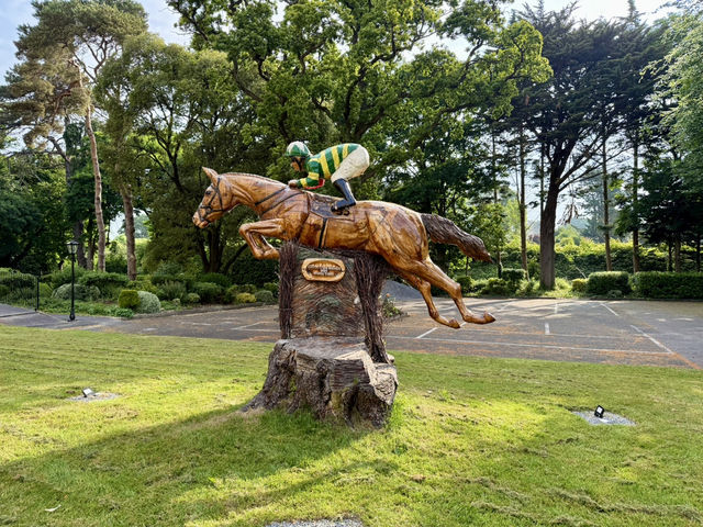 Glen of Aherlow Adventure