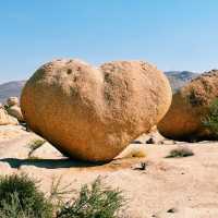 🌵 Top Must-See Landmarks in Joshua Tree National Park 🌅