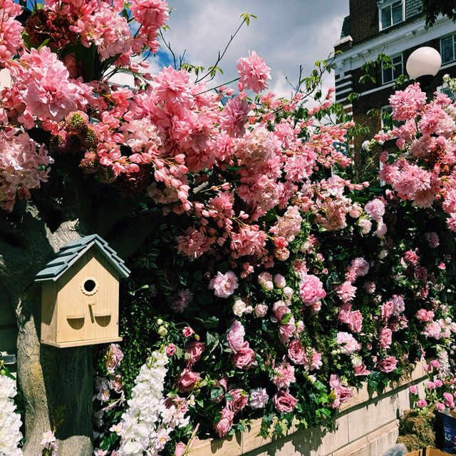🌸 Chelsea Flower Show 2025: A Blooming Spectacle in London 🌿