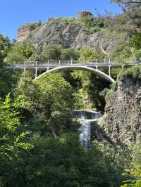 Chill time at Tbilisi botanical garden 