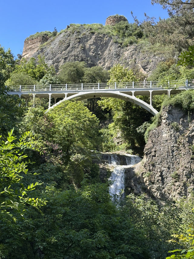 Chill time at Tbilisi botanical garden 