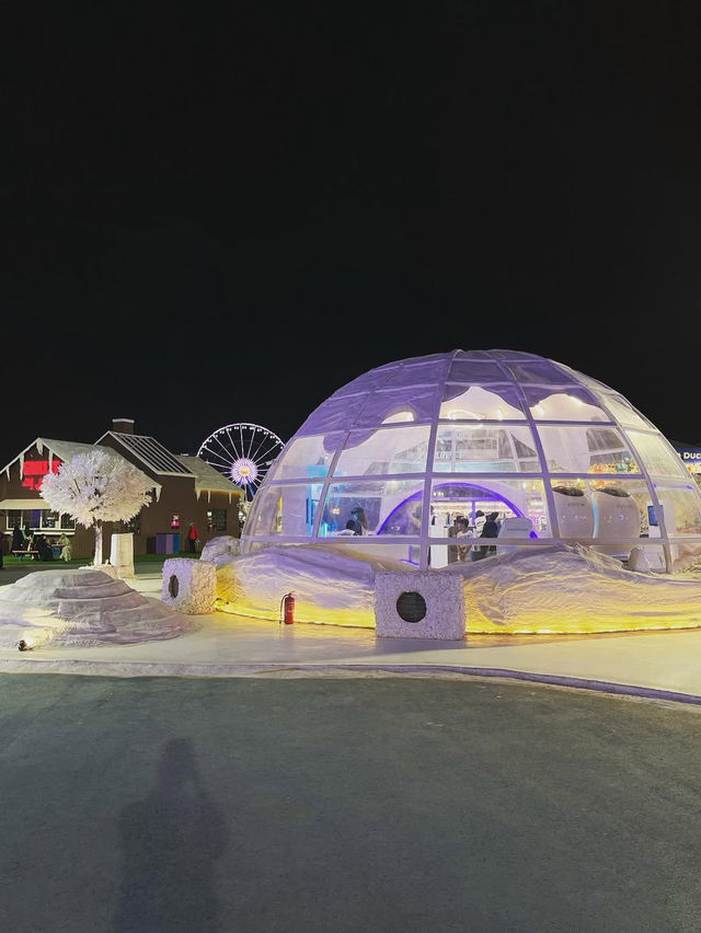 Winter Magic in Riyadh: A Wonderland of Dreams  