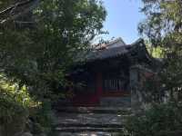 A Timeless Oasis: Where Nature and History Embrace