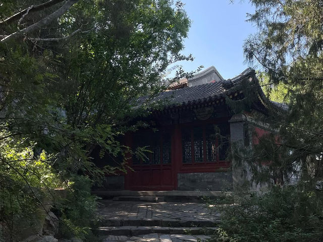 A Timeless Oasis: Where Nature and History Embrace