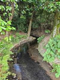 Okayama: Castles, Gardens, and the Legend of Momotaro