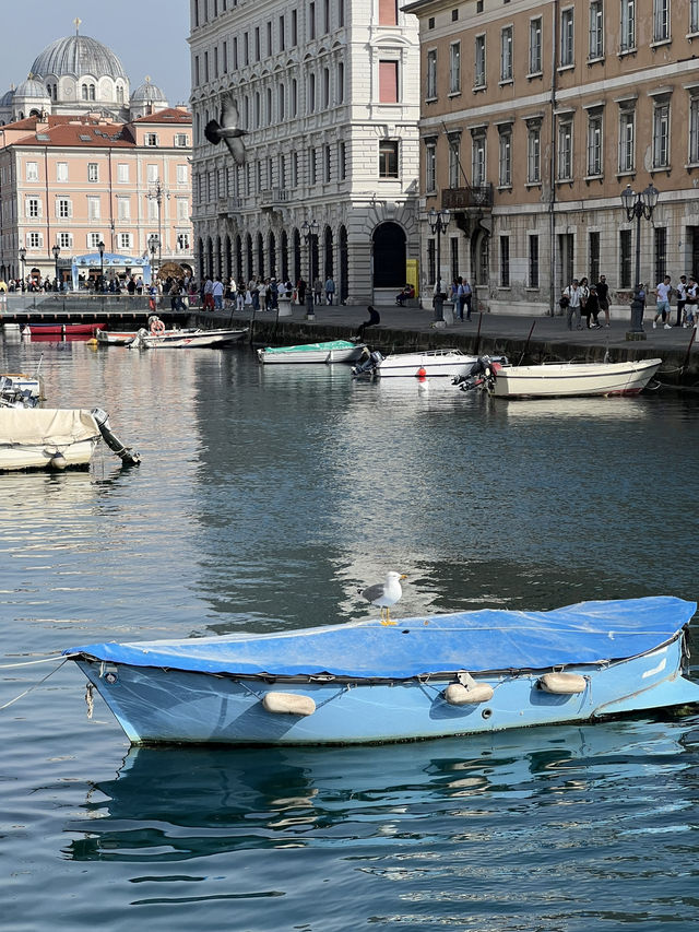 🇮🇹 義大利的里雅斯特（Trieste） ⛵️