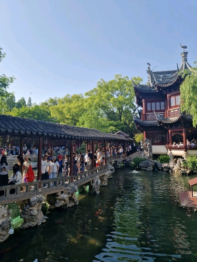 One Week in Shanghai: Guide + Costs 🌃🇨🇳
