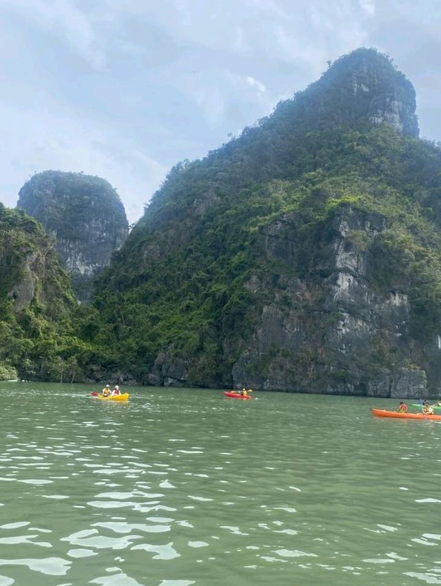 Vietnam Experience