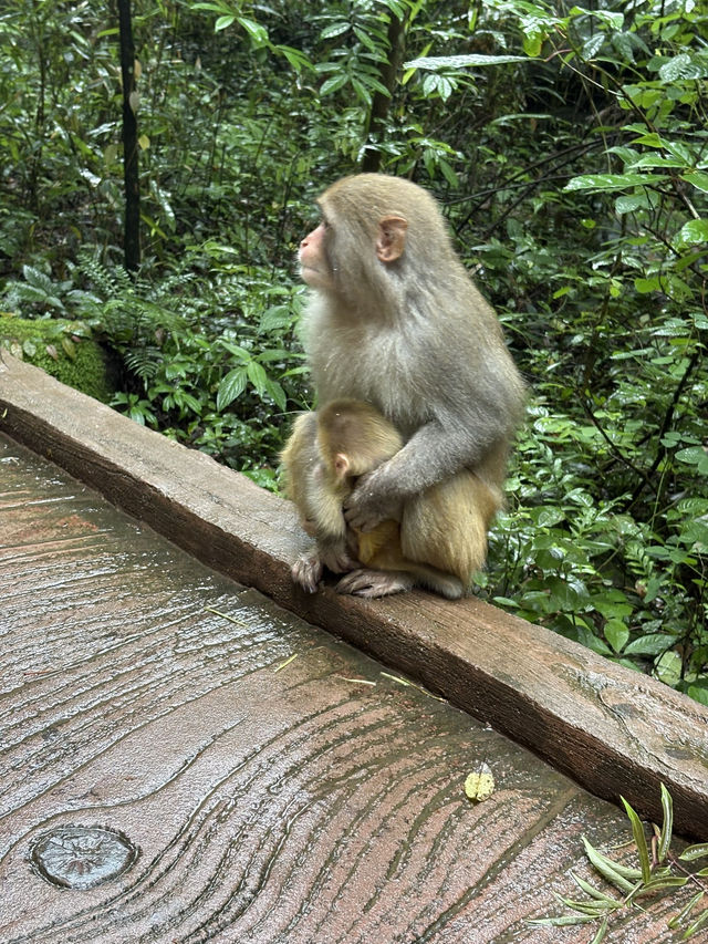 Solo female travelling in China without a guide