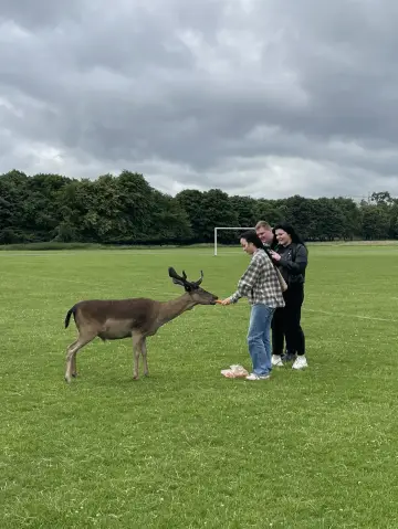 Phoenix Park in Dublin, Ireland