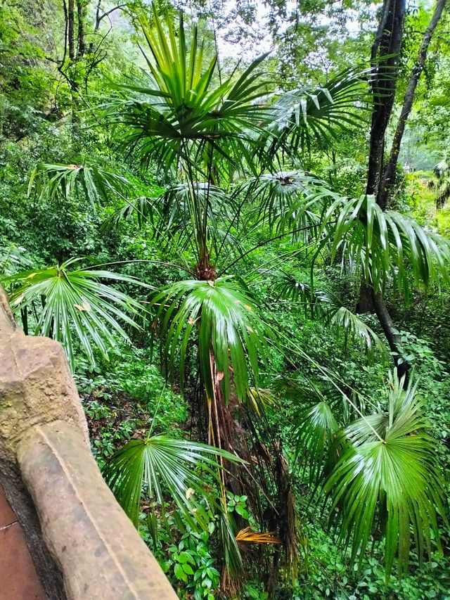 Mountain Tiantai 