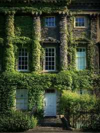 Timeless Elegance in Bath: A Perfect Day in England’s Roman Gem