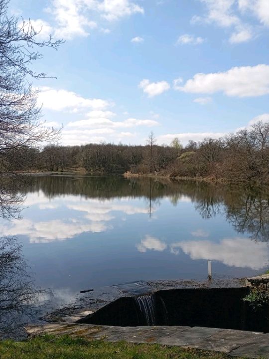 The National Botanic gardens of Wales