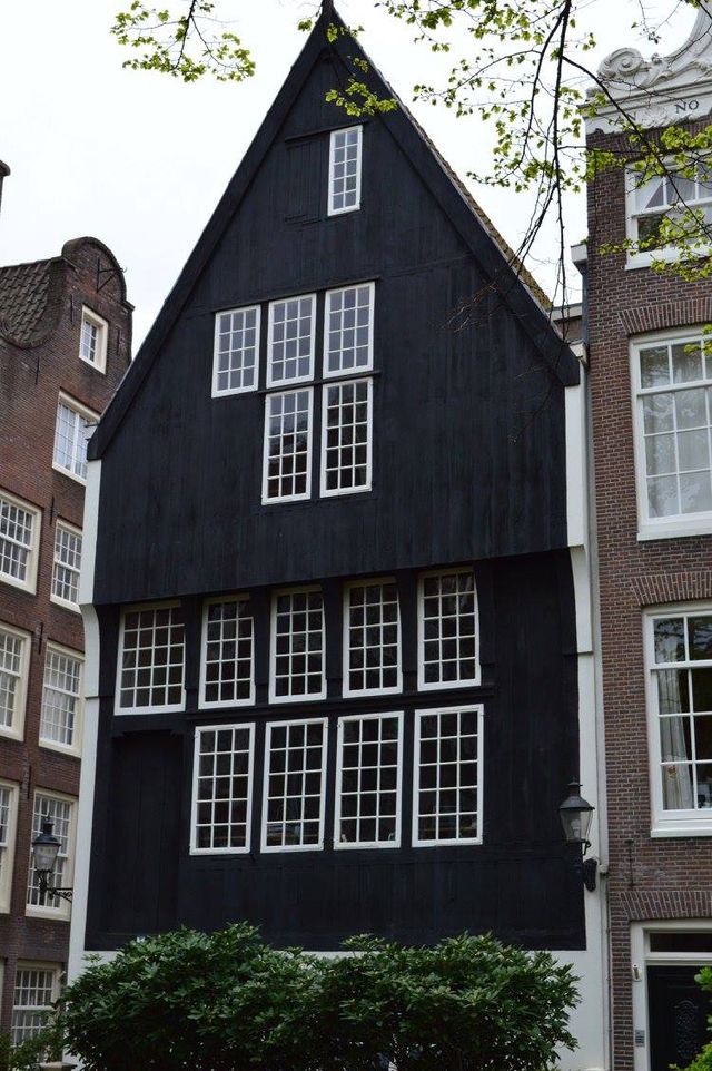 Explore Amsterdam & around without emptying your wallet 🌷🚲