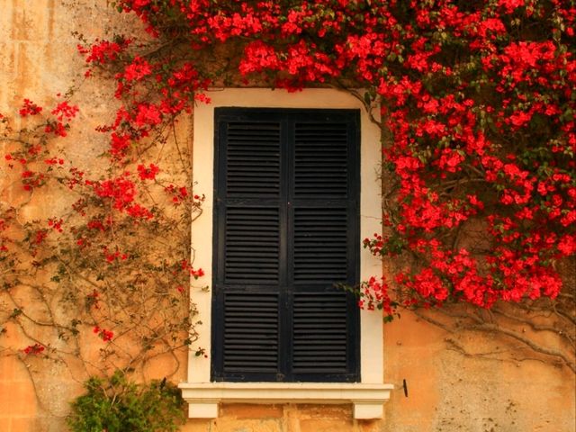✨Mdina: Malta’s Silent City of Golden Stone 🌙🏰