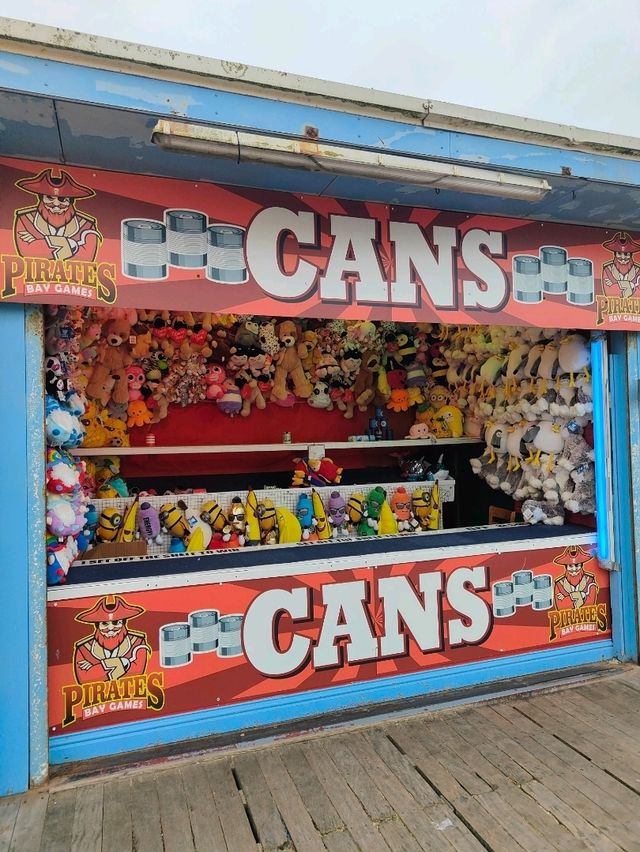 🎡 A People's Pier Since 1868