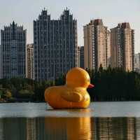 Quirky Lakeside Fun – The Giant Duck of Ganzhou 🦆🌟