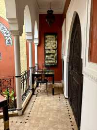 Nights of Lantern Light