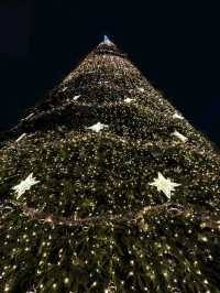 Bucharest Christmas 2025: A Festive Wonderland