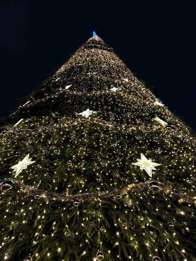 Bucharest Christmas 2025: A Festive Wonderland Bucharest Christmas 2025: A Festive Wonderland