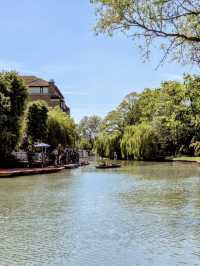 ✨ A gentle Cambridge moment by the River Cam 