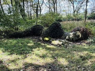 踏入伊甸園計劃，就像進入一個自然與想像力交織的世界