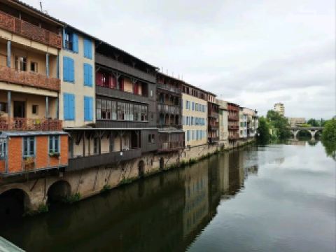 Historic Walks Tour🏛️