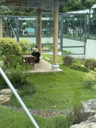 Exploring Wuxi Zoo and Taihu Lake Amusement Park: A Fun Day Out Amidst Nature