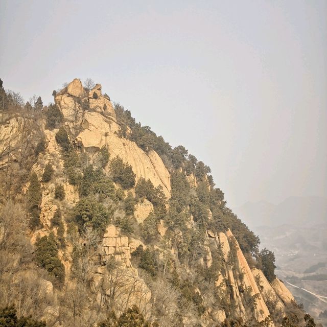 #Yinshan Pagoda Forest #Beijing #March 2019