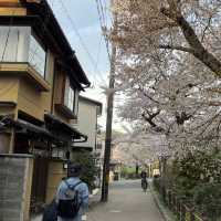 京都終極賞櫻攻略🌸 蹴上鐵道&哲學之路