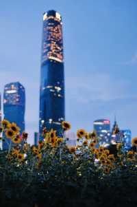 Ersha Island - Free camping and picnic spot in Guangzhou city.